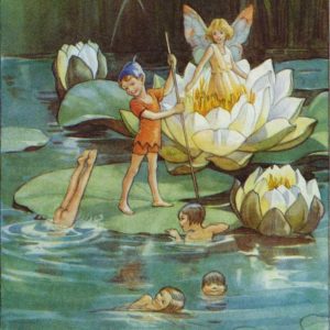 Ansichtkaart Elfjes op Waterlelieblad