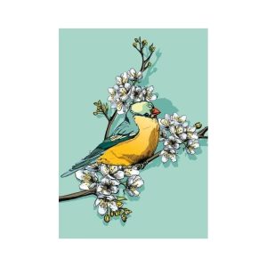 Ansichtkaart Vogel met Bloesem – Illustratieve Natuurkaart (illi)