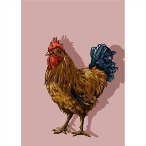 Ansichtkaart Karlo – Haanillustratie (illi)