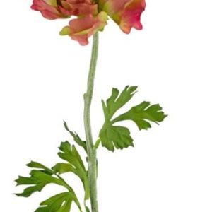 Kunst Ranonkel Roze/Groen 51cm