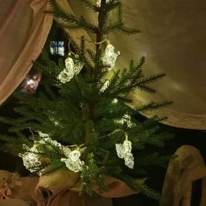 10 Engeltjes in streng Verlichting