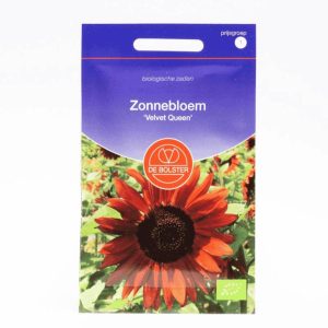 Zonnebloem ‘Velvet Queen’ (Helianthus annuus) – Biologische zaden (Eenjarig) De Bolster