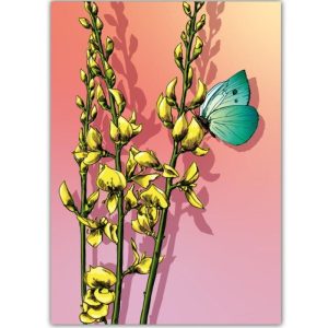 Ansichtkaart Lina – Brem- en Vlinderillustratie (illi)