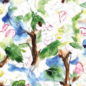 Geschenkkaartje Appelbloesem