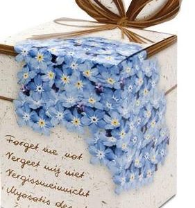 Bloemenzaad Vergeet-mij-nietje met potje – Duurzaam cadeaudoosje om zelf te zaaien