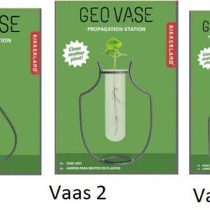 Geo Vase Propagation Station Knopvaas