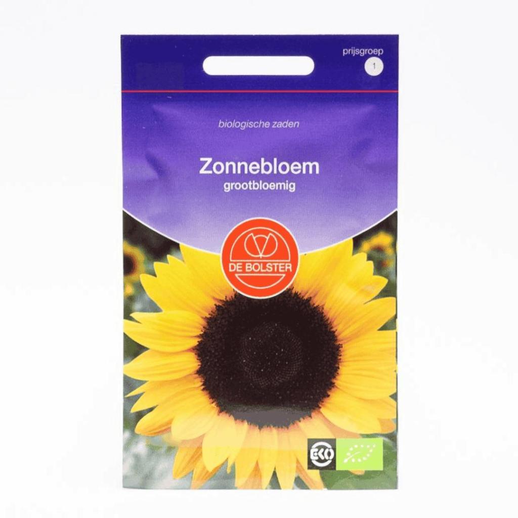 Zonnebloem Grootbloemig (Helianthus annuus) – Biologische zaden (Eenjarig) De Bolster