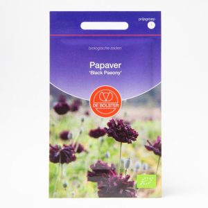 Papaver ‘Black Paeony’ (Papaver somniferum) – Biologische zaden (Eenjarig) De Bolster