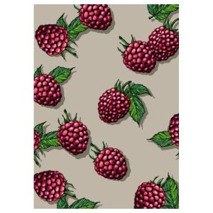 Ansichtkaart Juma – Frambozenillustratie (illi)