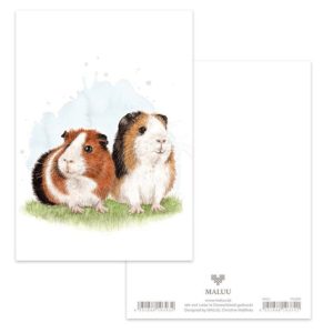 Ansichtkaart Twee Cavia’s – Aquarelontwerp van Christine Matthies