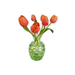 Flat Flowers Tulpen oranje