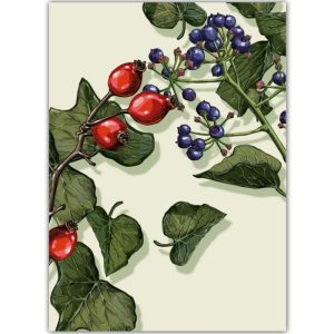 Ansichtkaart Efi – Botanische illustratie met bessen en klimop (illi)