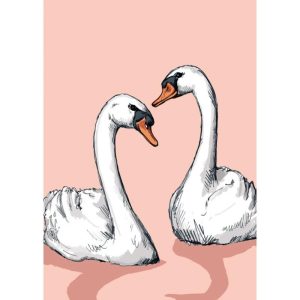 Ansichtkaart Bo en Ta – Twee Zwanen (illi)