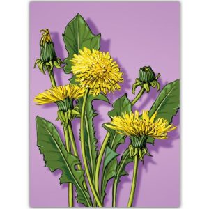 Ansichtkaart Loni – Illustratie van paardenbloemen