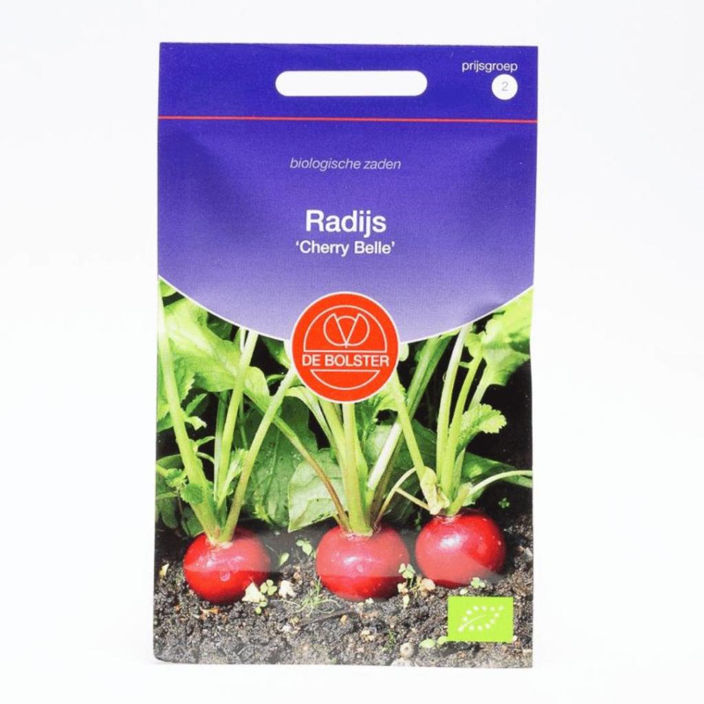 Radijs ‘Cherry Belle’ (Raphanus sativus) – Biologische zaden (Eenjarig) De Bolster - Afbeelding 2