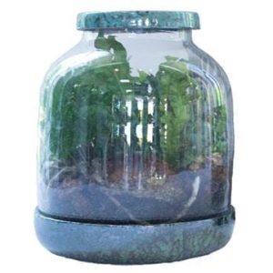 Terrarium vaas met keramische deksel Mani L