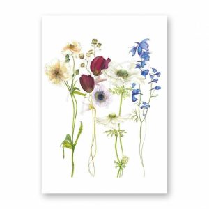 Dubbele kaart Herbarium