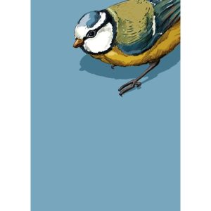 Ansichtkaart Milu – Pimpelmeesillustratie (illi)