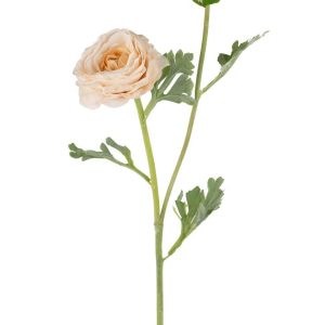 Kunst Ranonkel Crème 60cm