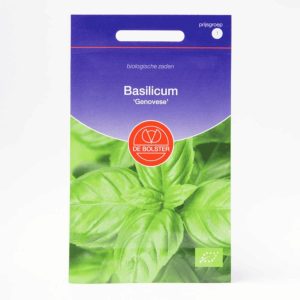Basilicum ‘Genovese’ (Ocimum basilicum) – Biologische zaden (Eenjarig) De Bolster