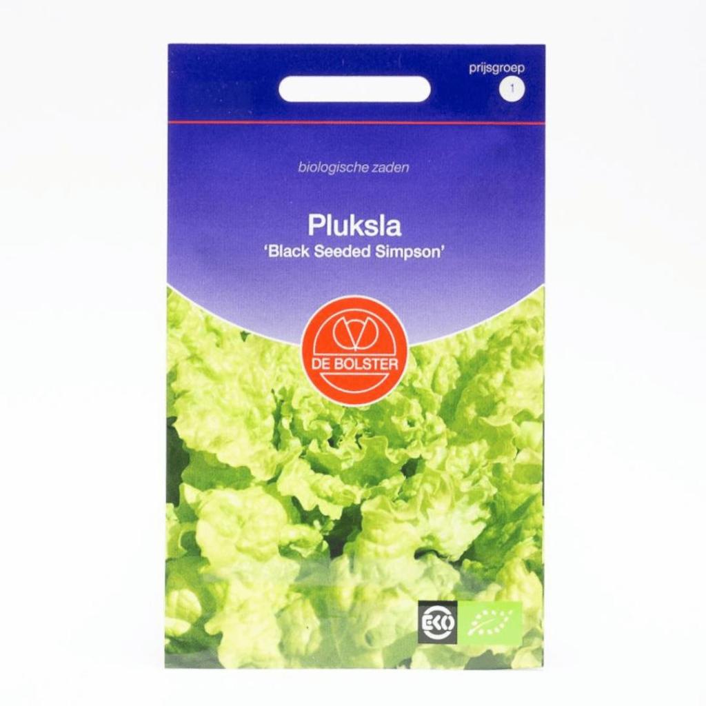 Groentezaad Pluksla Black Seeded Simpson (Lactuca sativa) – Biologische zaden (Eenjarig) De Bolster - Afbeelding 2