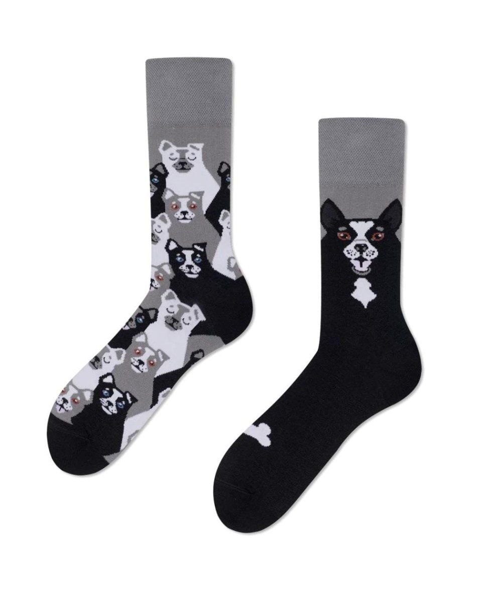 Many Mornings Mismatch Sokken – Black Dog – Honden sokken – Maat 43-46 – Origineel en comfortabel