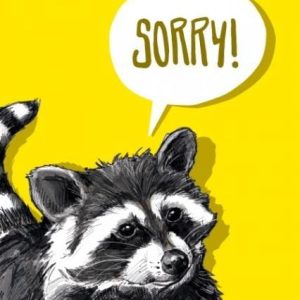 Ansichtkaart Sorry – Wasbeerillustratie (illi)