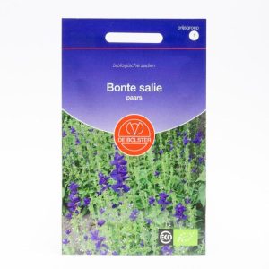 Bloemenzaad Bonte salie paars (Salvia viridis) – Biologische zaden (Eenjarig) De Bolster