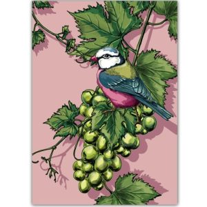 Ansichtkaart Truda – Vogel op Druiventros Illustratie (illi)