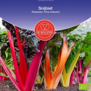 Snijbiet ‘Fireworks’ (‘Five Colours’) (Beta vulgaris subsp. cicla) – Biologische zaden De Bolster
