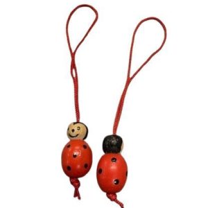 Lieveheersbeestjes Barbosa