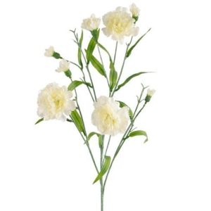 Kunst Trosanjer Wit 70cm