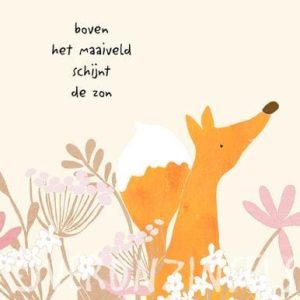 Dubbele kaart Maaiveld Vos