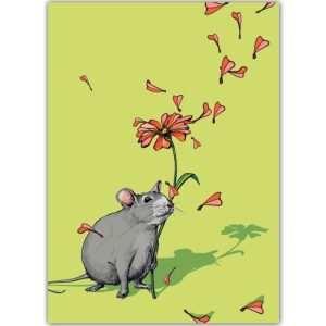 Ansichtkaart Lipo – Rat met Bloemillustratie (illi)