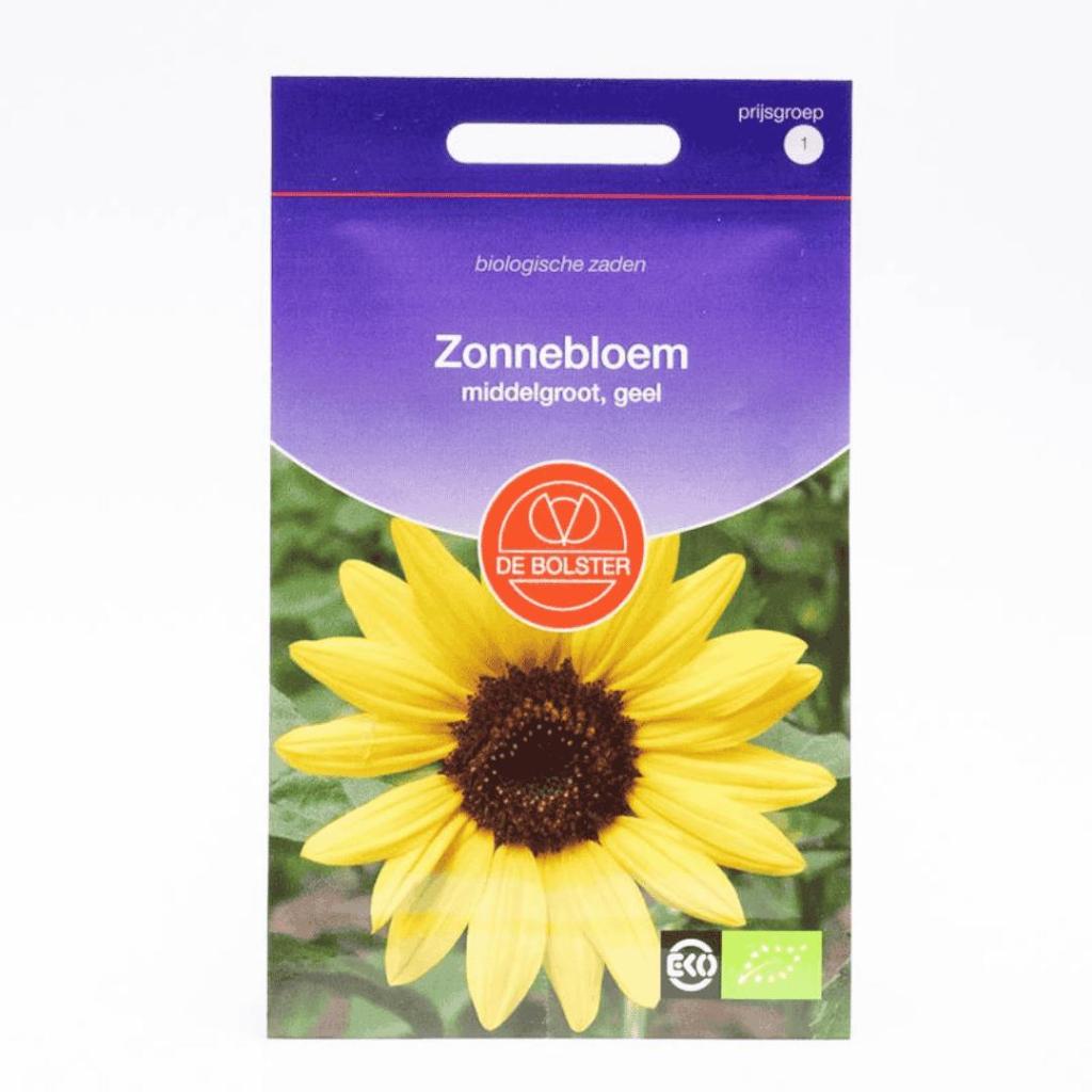 Zonnebloem Middel Geel (Helianthus annuus) – Biologische zaden (Eenjarig) De Bolster
