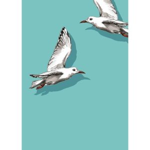 Ansichtkaart Fino en Miro – Meeuwen in vlucht illustratie (illi)