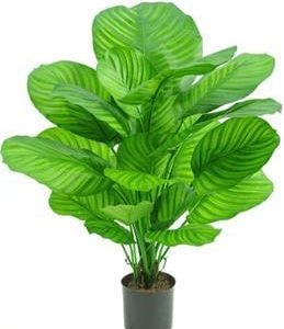 Kunstplant Calathea 72cm