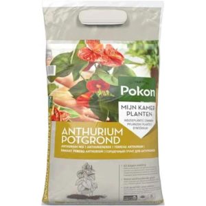 Pokon Anthurium Potgrond 5L – Speciaal voor jouw Anthuriums