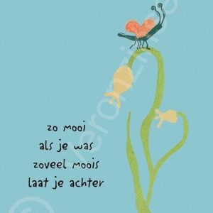 Dubbele kaart Zoveel Moois