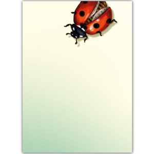 Ansichtkaart Lieveheersbeestje – Minimalistische Insectenillustratie (illi)