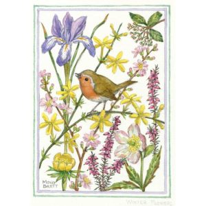 Ansichtkaart Winter Flowers met Roodborstje – Molly Brett illustratie (10 x 15 cm)
