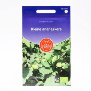 Ananaskers (Physalis pruinosa) – Biologische zaden (Eenjarig) De Bolster