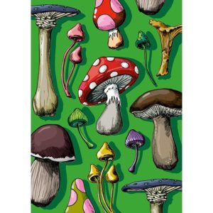 Ansichtkaart Pibaz – Paddenstoelenillustratie (illi)