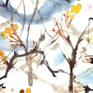 Geschenkkaartje Japanse Winterbes