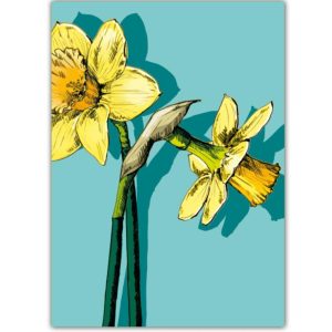 Ansichtkaart Nari – Narcis Illustratie (illi)
