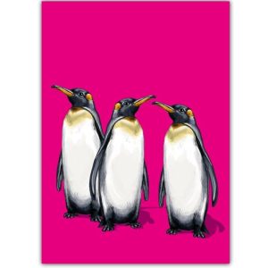 Ansichtkaart Pimpad – Pinguïnillustratie (illi)