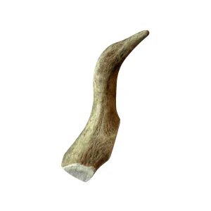 Rendiergewei hondensnack 100% natuurlijk maat L - Per stuk