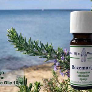 Rozemarijn (Biologisch)